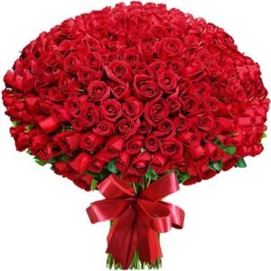 Buquê de 500 Rosas