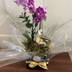 Orquídeas com Ferrero Rocher